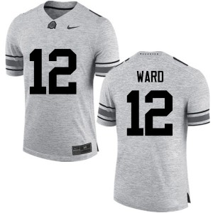 #12 Denzel Ward OSU Men Official Jersey Gray