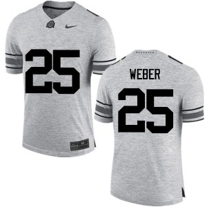 #25 Mike Weber Ohio State Men Official Jersey Gray