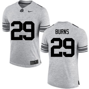 #29 Rodjay Burns Ohio State Men University Jerseys Gray