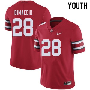 #28 Dominic DiMaccio OSU Buckeyes Youth University Jerseys Red