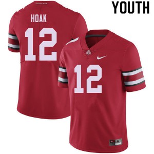 #12 Gunnar Hoak Ohio State Buckeyes Youth Embroidery Jerseys Red
