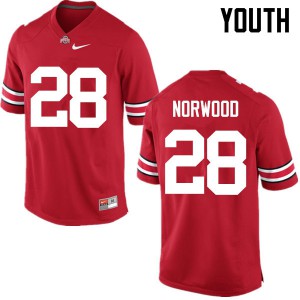 #28 Joshua Norwood Ohio State Buckeyes Youth Embroidery Jerseys Red