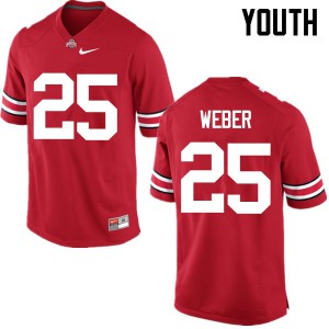 #25 Mike Weber Ohio State Youth Stitch Jerseys Red